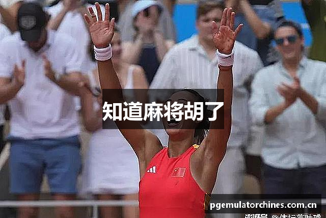知道麻将胡了